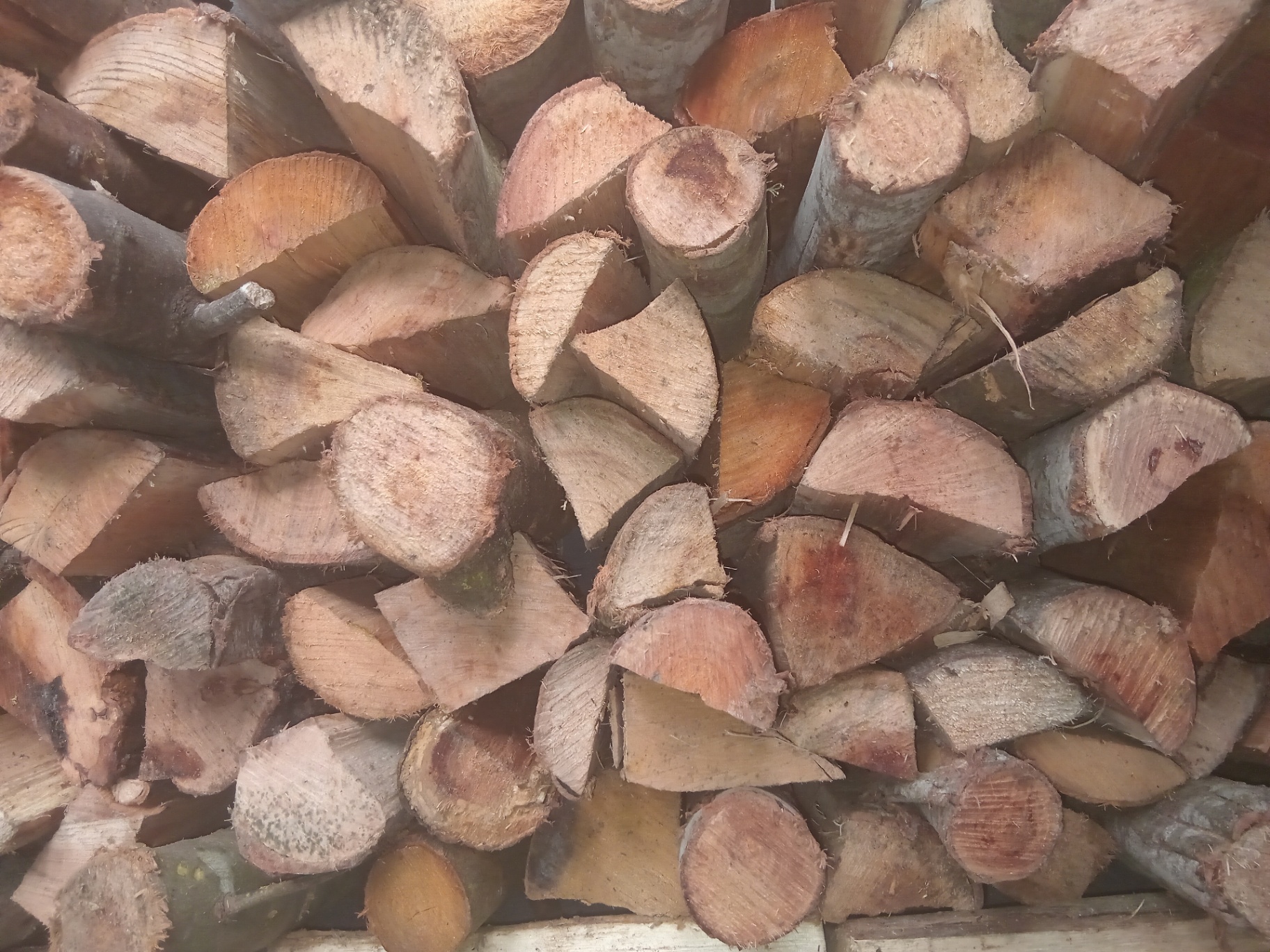 Firewood logs